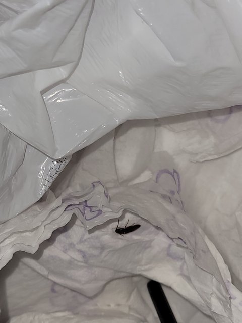 Crumpled Paper, Faint Marks — Photograph